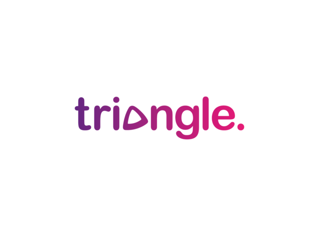 triangle 1 triangle Networks logo